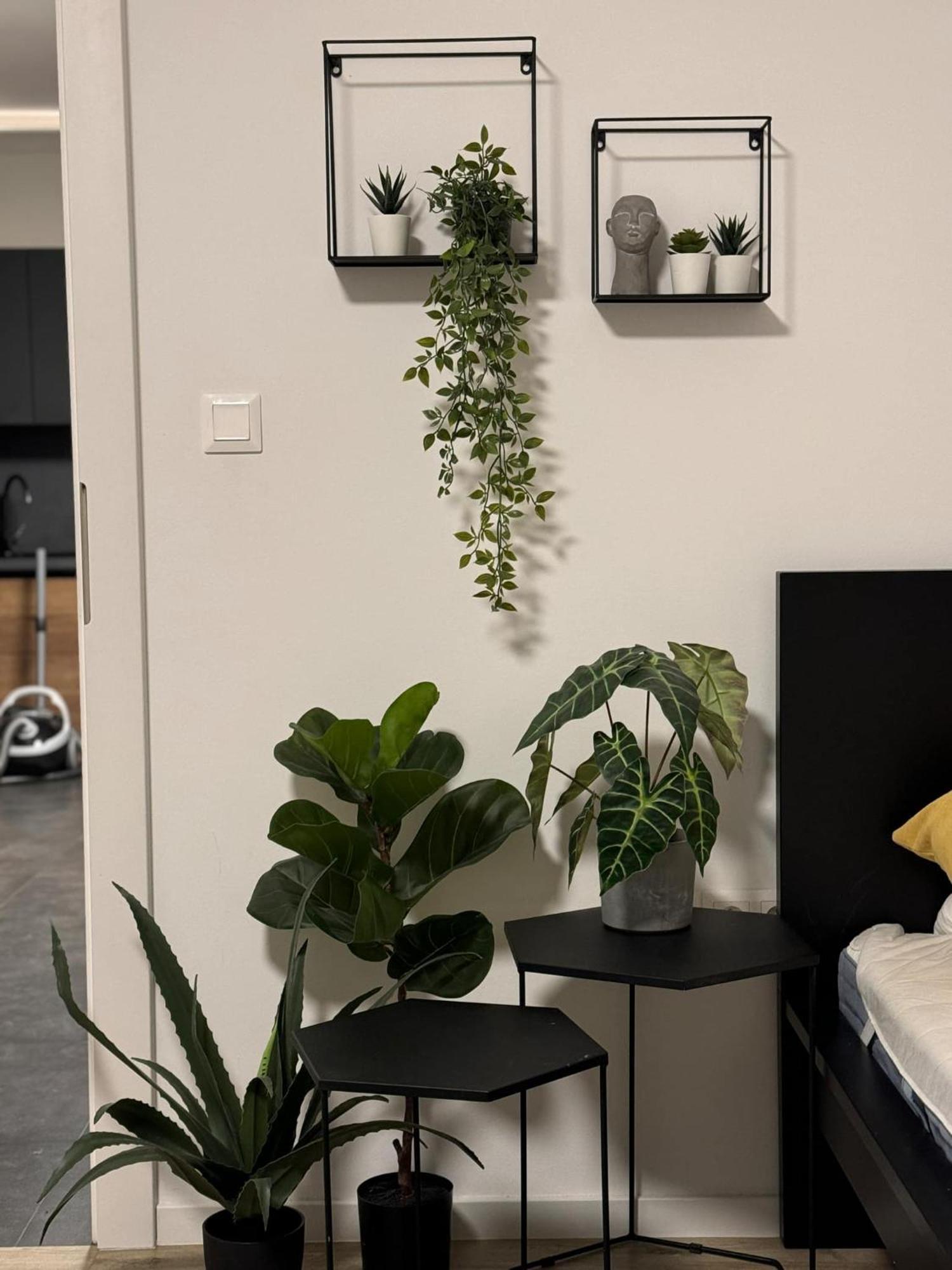 Mýto pod Ďumbierom Apartmany Elli מראה חיצוני תמונה